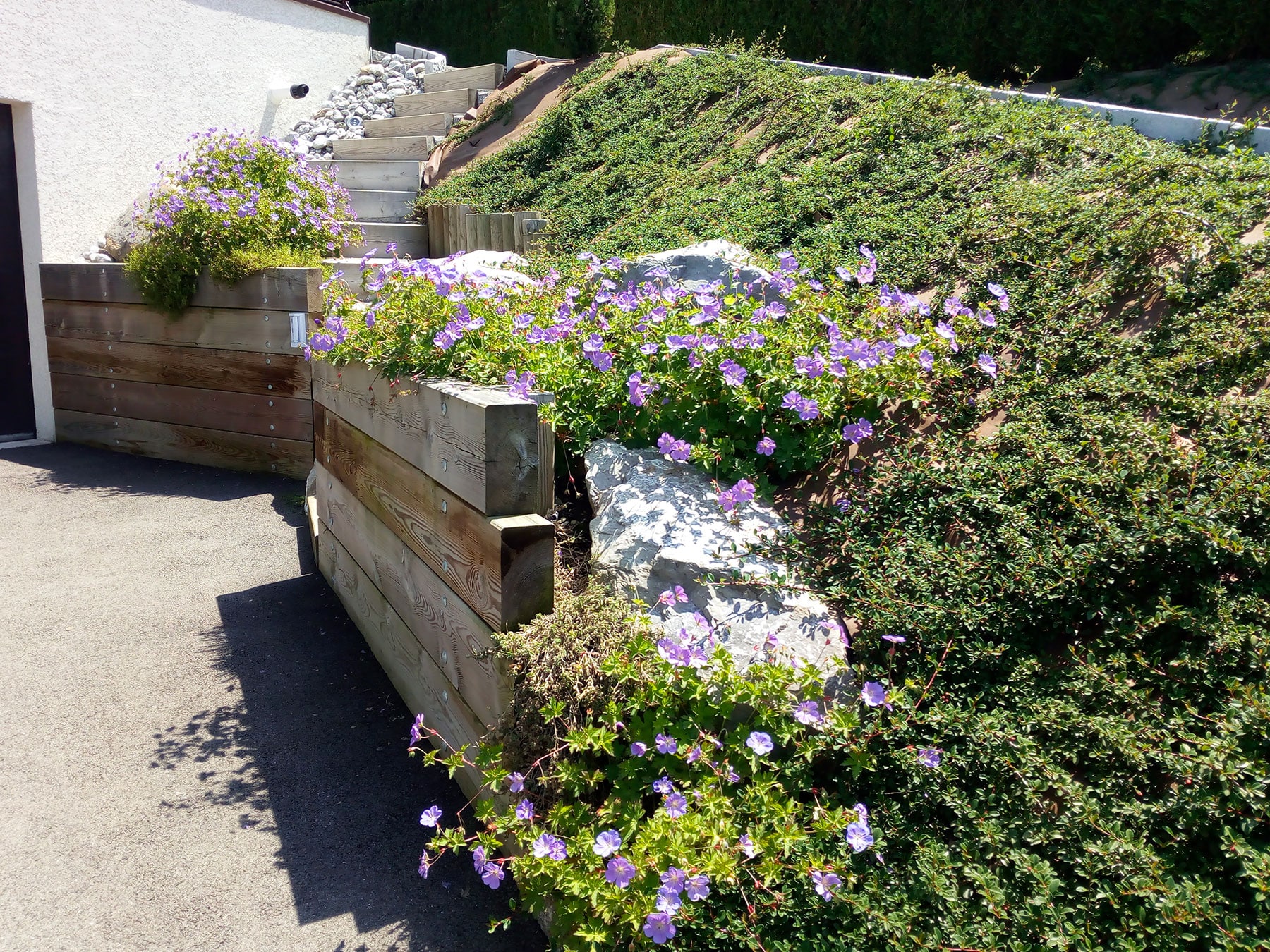 floraison